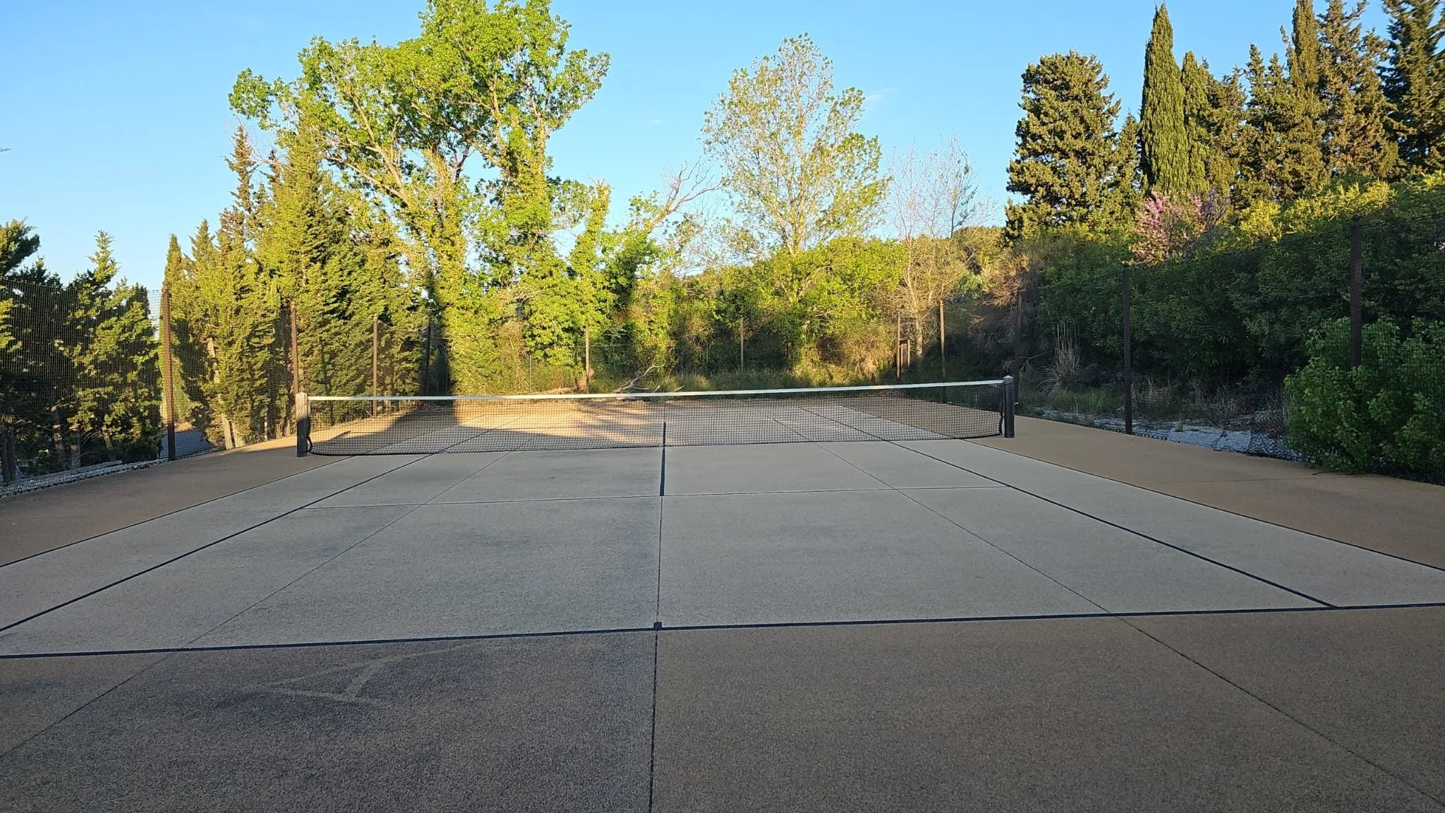 Court de tennis gris foncé entouré de pins, avant rénovation