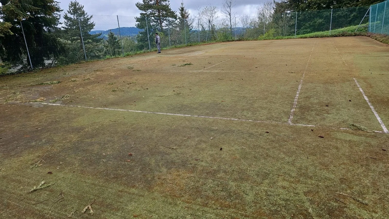 Court de tennis jauni par la mousse et les herbes avant travaux
