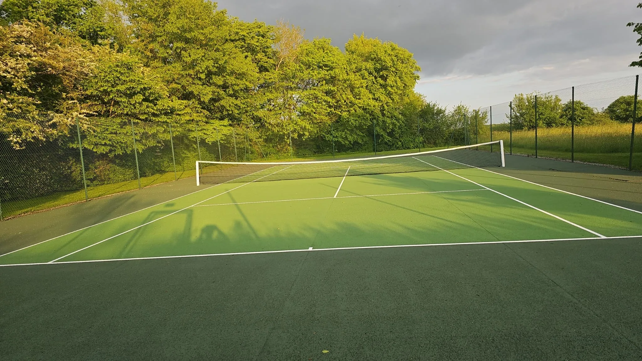 Court de tennis vert en lisière de bois au coucher du soleil
