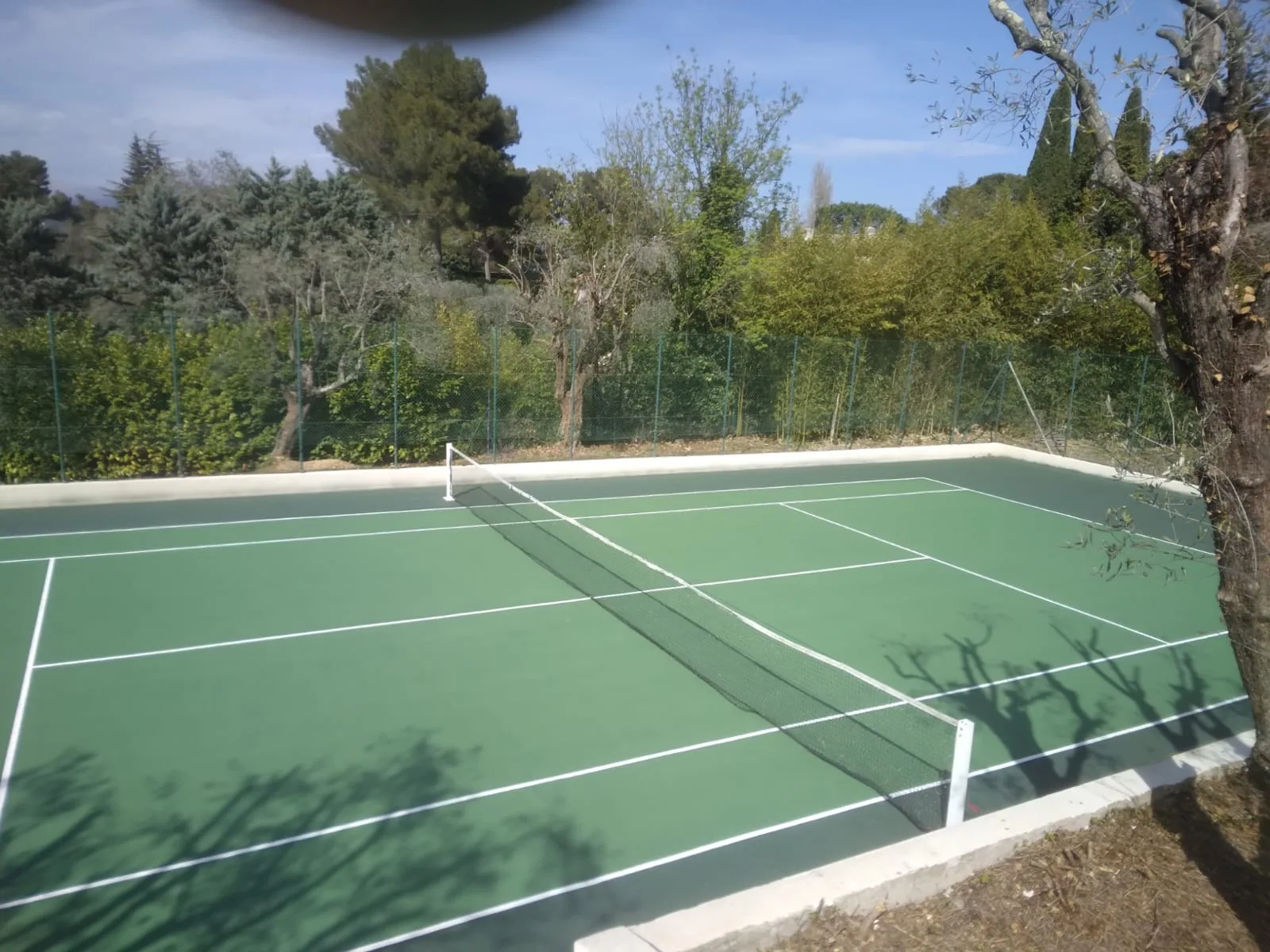Court de tennis vert foncé et vert clair dans un jardin