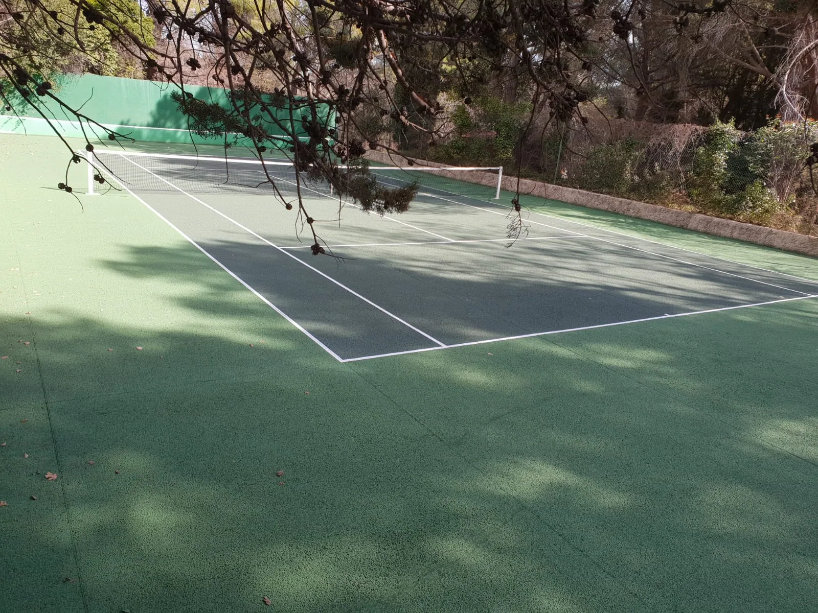 Court de tennis vert foncé ombragé d'un jardin
