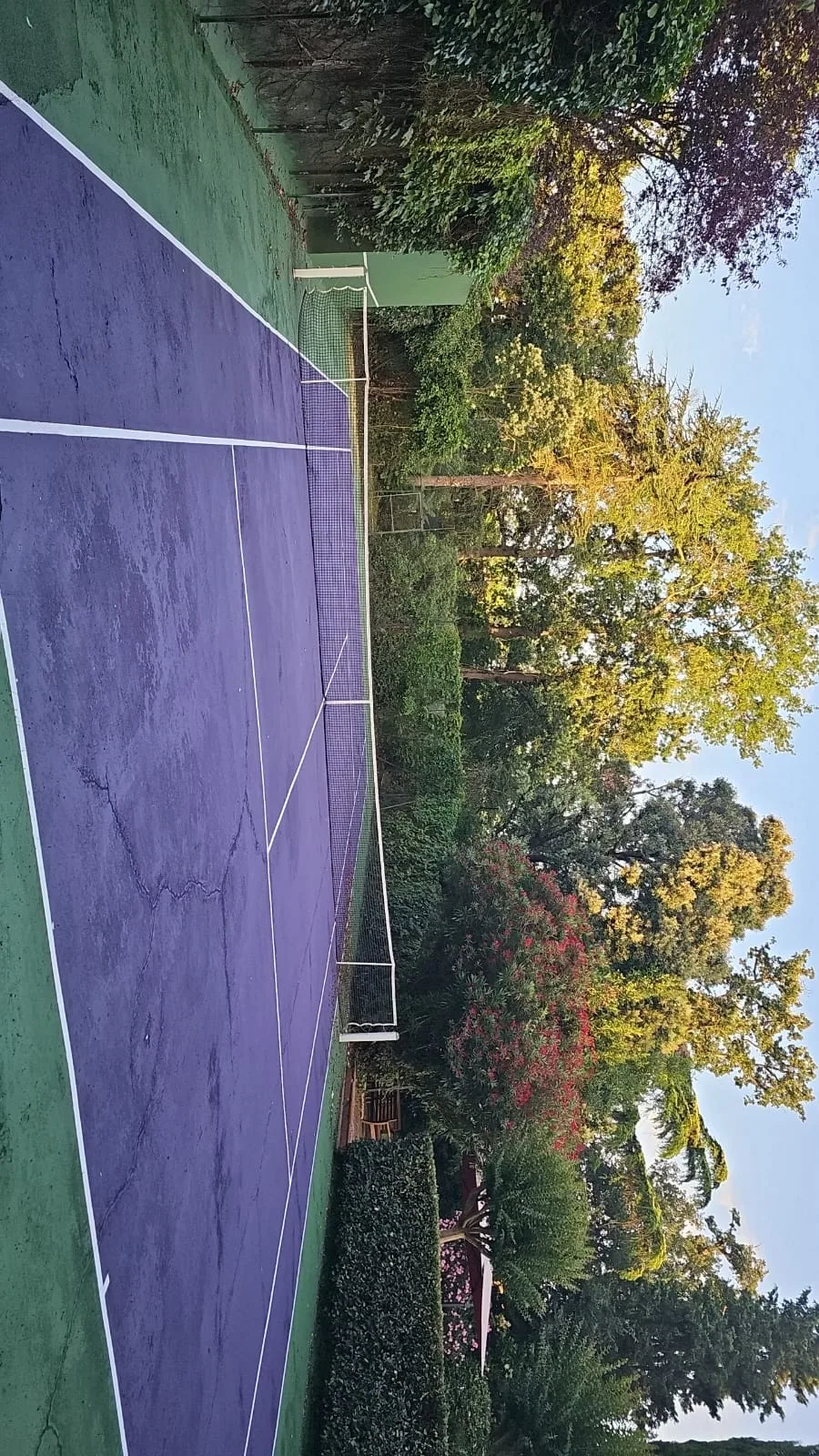 Court de tennis violet bordé d'arbres d'automne