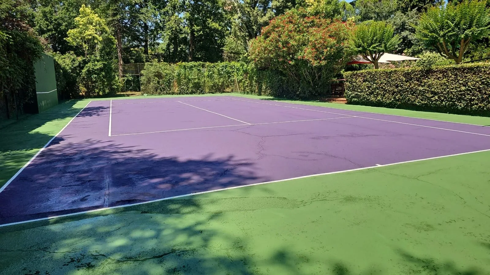 Court de tennis violet et vert dans un jardin
