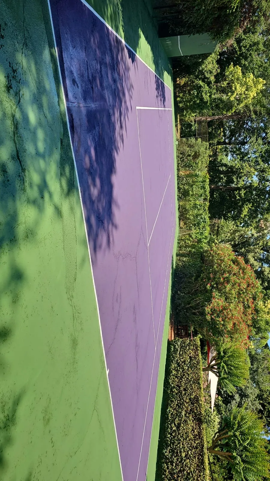 Court de tennis violet et vert ombragé