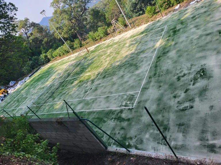 Court de tennis vu en surplomb, couvert de mousse et de taches avant travaux