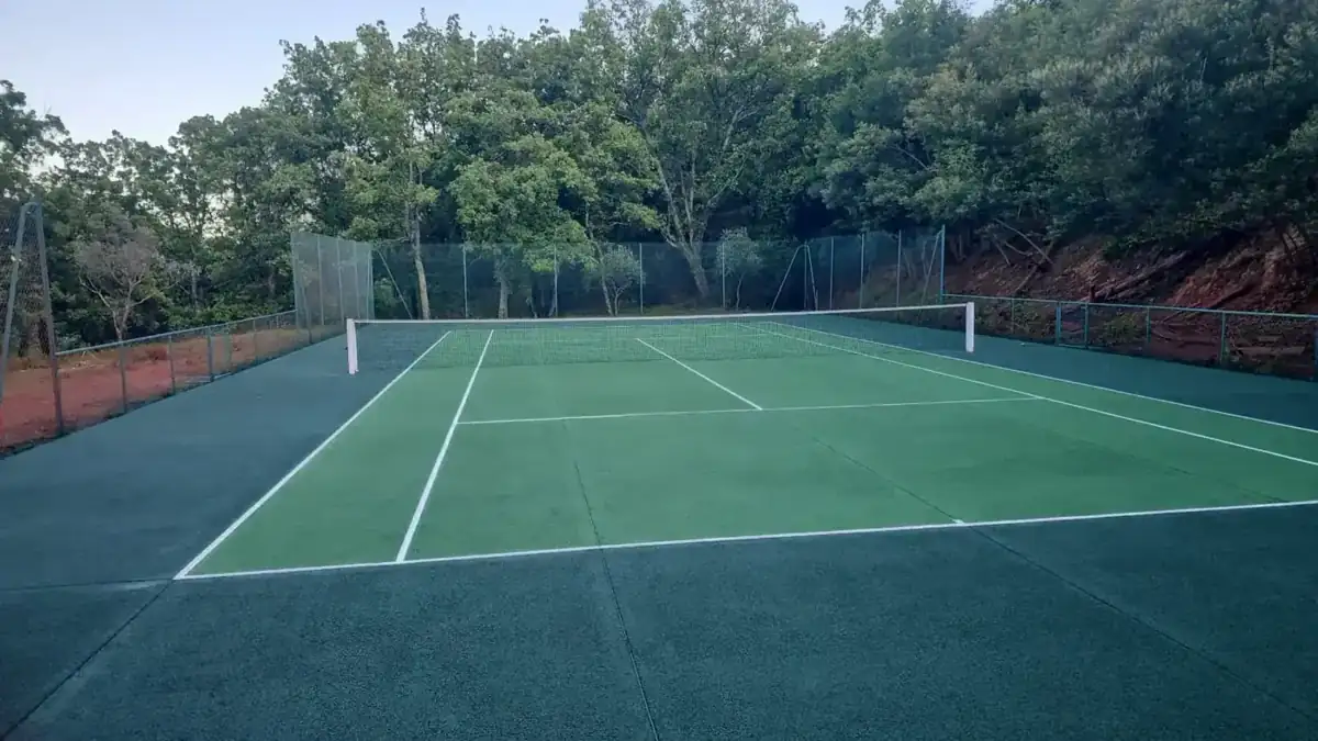 Court de tennis vert entouré d'arbres