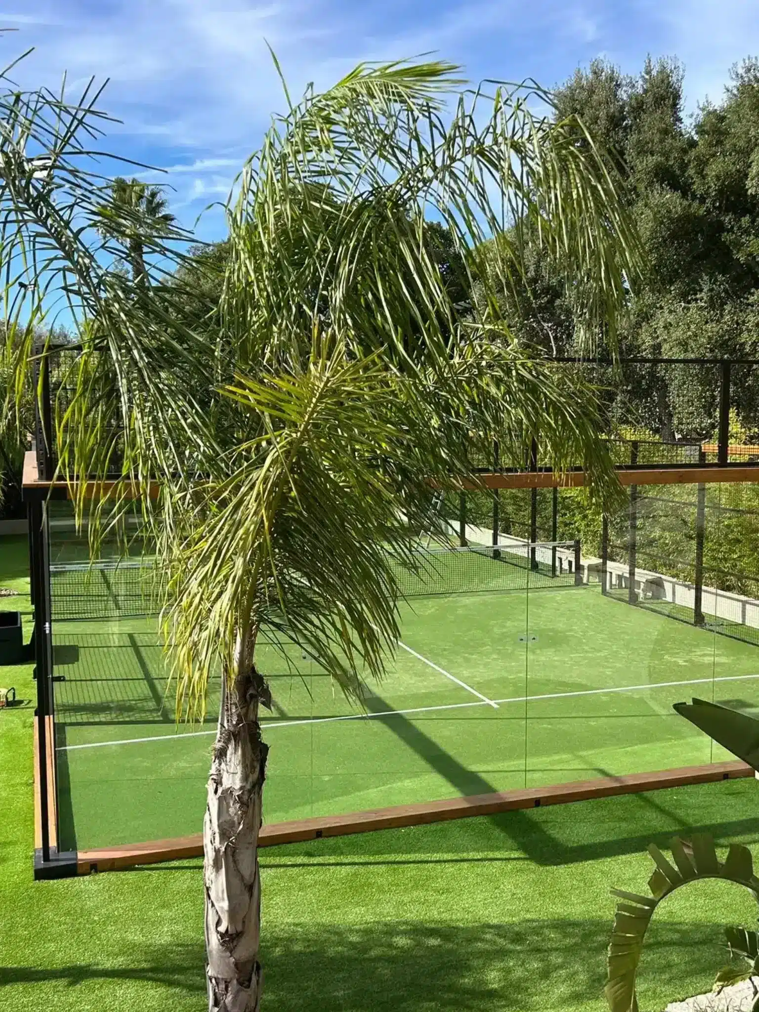 Terrain de padel vert entouré de palmiers